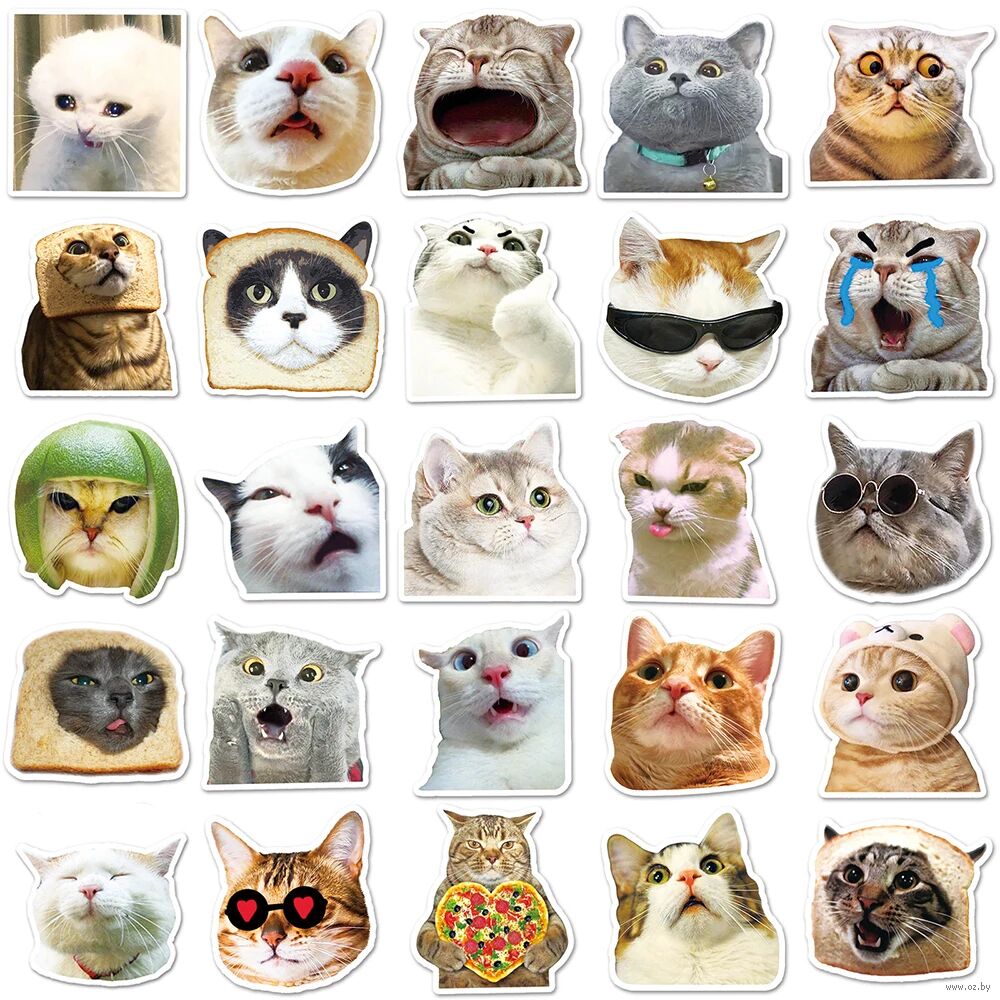 Набор наклеек "Crazy cats"