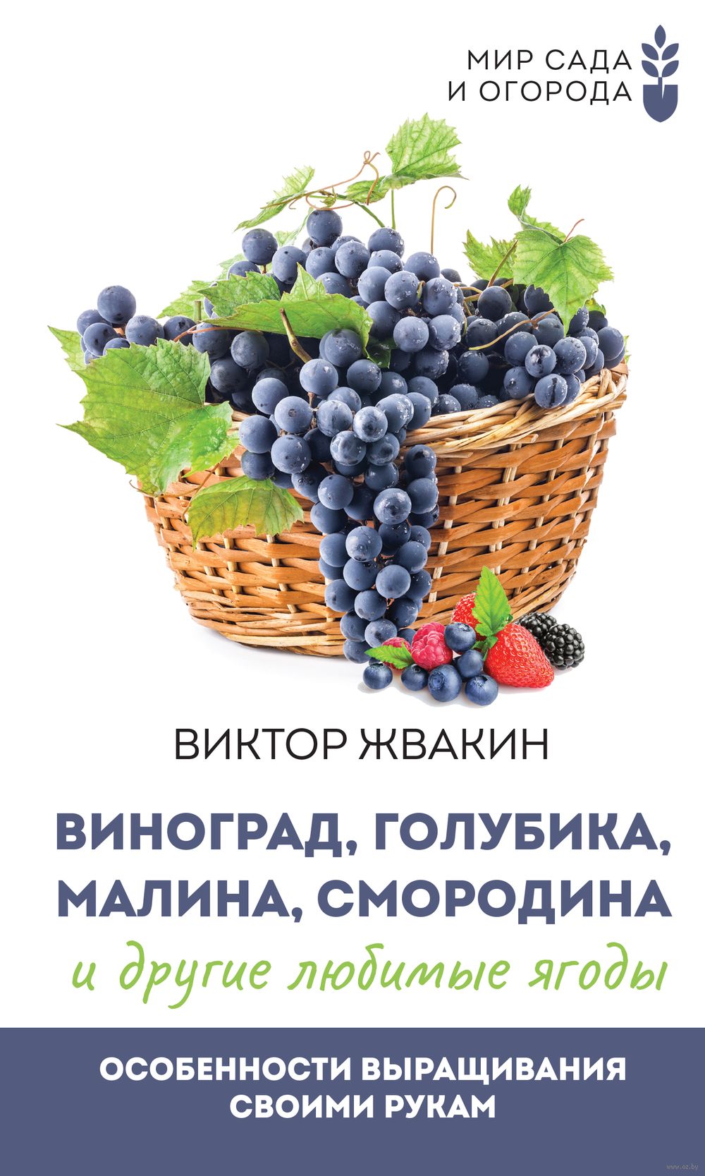 Виноград, голубика, малина, смородина и другие любимые ягоды. Особенности  выращивания своими руками Виктор Жвакин - купить книгу Виноград, голубика,  малина, смородина и другие любимые ягоды. Особенности выращивания своими  руками в Минске —