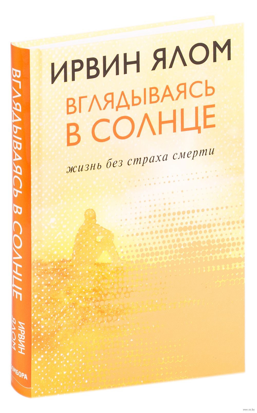 Вглядываясь в солнце. Жизнь без страха смерти