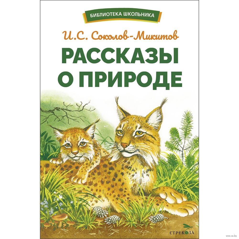 Читать книгу «Рассказы о природе» онлайн полностью📖 — К. Г. Паустовского — MyBook.