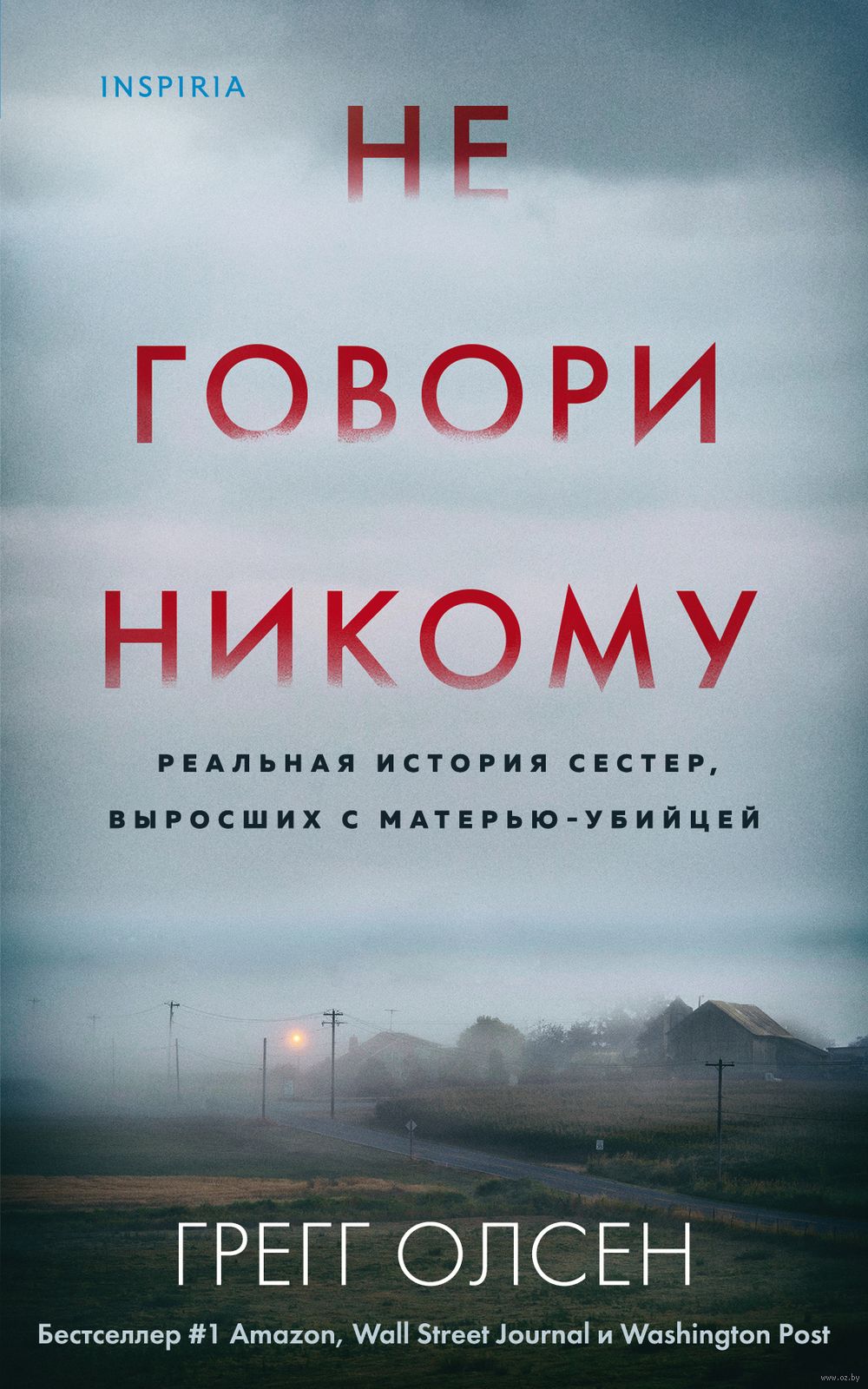 Не говори никому Грегг Олсен - купить книгу Не говори никому в Минске —  Издательство Inspiria на OZ.by