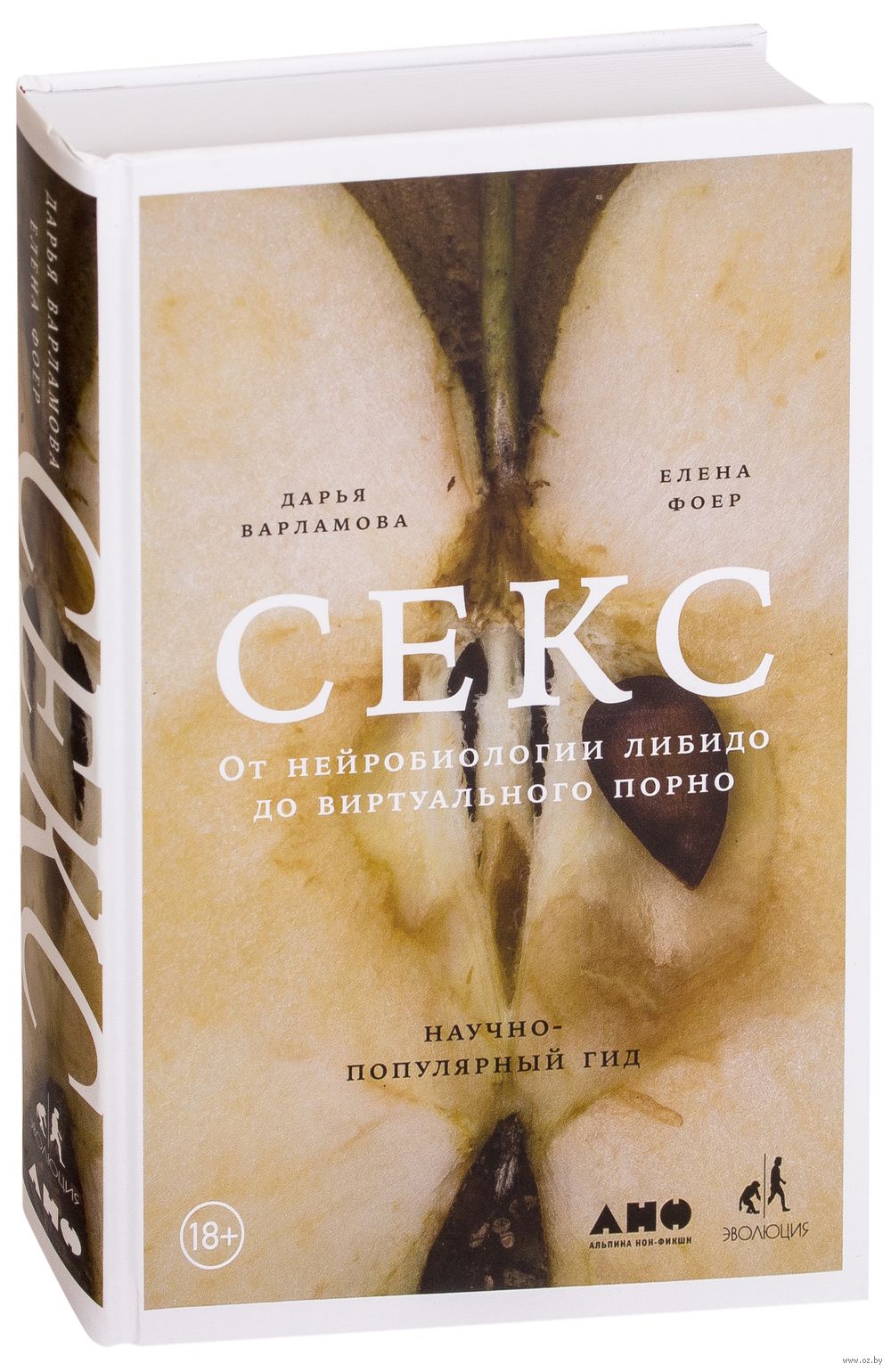 Камераны бітірді