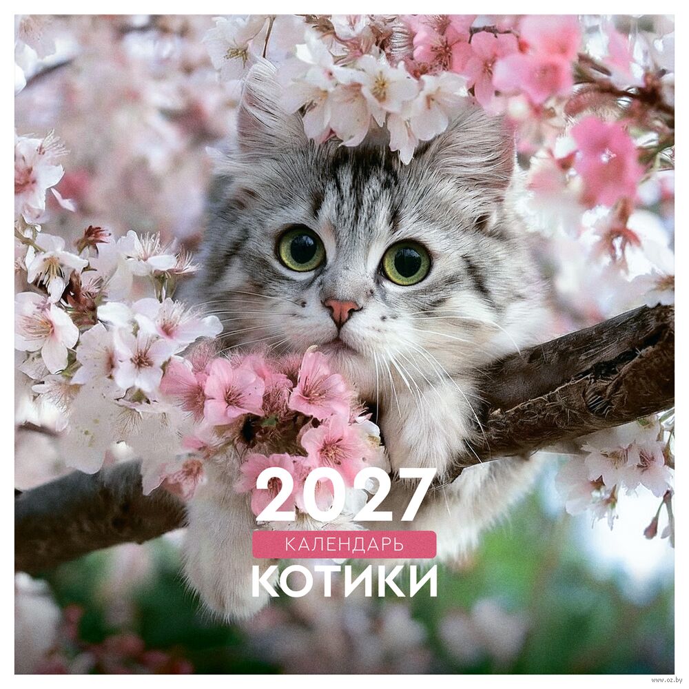 Календарь настенный на 2027 год "Котики" (23х23 см)