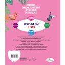 Птицы — фото, картинка — 7