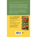 Огород без прополки. Лучшая стратегия в борьбе с сорняками — фото, картинка — 20