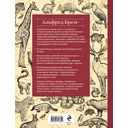 Жизнь животных. Большая иллюстрированная энциклопедия — фото, картинка — 121