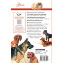 Породы собак. Определитель — фото, картинка — 1