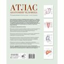 Атлас анатомии человека. Пищеварительная система — фото, картинка — 1