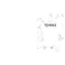 Травы. Магические запасы — фото, картинка — 15