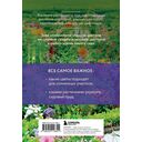 Лучшие цветы. Сажаем на солнце и в тени — фото, картинка — 4