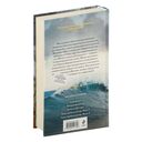 Тайна мертвого ректора. Книга 2 — фото, картинка — 20