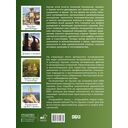 Грузия. Самые интересные места — фото, картинка — 1