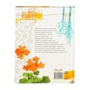 Воспитание говорящего кота — фото, картинка — 9