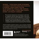 Легендарные мосты. Истории и легенды о петербургских мостах — фото, картинка — 15