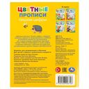 Пишем цифры. Цветные прописи — фото, картинка — 4