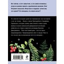 Колодец забытых желаний — фото, картинка — 21