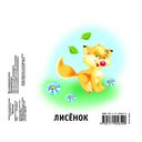 Животные — фото, картинка — 2