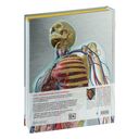 Атлас анатомии человека. Подробное иллюстрированное руководство — фото, картинка — 2
