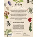 Профессия – Научный иллюстратор. Руководство по иллюстрации в биологии, археологии и палеоарте — фото, картинка — 15