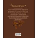 Философия кофе. От зерна до идеального напитка — фото, картинка — 8