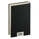 Мелкий бес. Романы. Рассказы — фото, картинка — 105