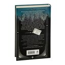 Темный двойник Корсакова. Оккультный детектив — фото, картинка — 25