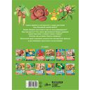 Растения — фото, картинка — 33