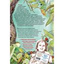 Алиса в Стране чудес — фото, картинка — 24