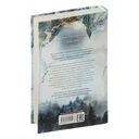 Академия Рейвенхолл. Тайная магия — фото, картинка — 7