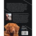 Породы собак. Энциклопедия — фото, картинка — 15