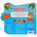 Домашние животные — фото, картинка — 4