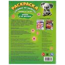 Коала и её друзья. Раскраска. Соедини по цифрам — фото, картинка — 1