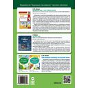 Ласункі агарода, саду, лесу. Узбагачаем слоўнікавы запас, выконваем заданні, пашыраем кругагляд — фото, картинка — 2
