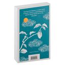 Сансиро — фото, картинка — 16