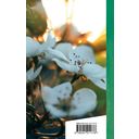 Вчера еще в глаза глядел... — фото, картинка — 17