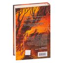 Золотые земли. Птицы Великого леса — фото, картинка — 102