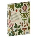 Ботаникум — фото, картинка — 3