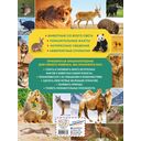 Удивительный мир животных. Энциклопедия для детей — фото, картинка — 16