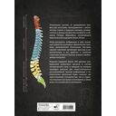 Анатомия Абрахамса. Атлас-раскраска — фото, картинка — 1