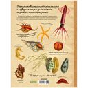 Удивительные энциклопедии. Морские сокровища — фото, картинка — 11