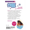 Академия верховой езды. Лошадь для Марьяны — фото, картинка — 1