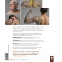 Фигура человека для художника. Большая книга анатомии, референсов и художественных поз — фото, картинка — 8