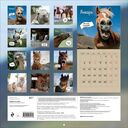 Календарь настенный на 2026 год 