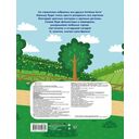 Котёнок Котэ. Раскраска с цветным контуром для малышей. Машинки — фото, картинка — 1