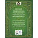 Дочь болотного царя. Сказки — фото, картинка — 13