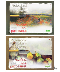 Альбом для рисования "Профессиональный" (А5; 20 листов)