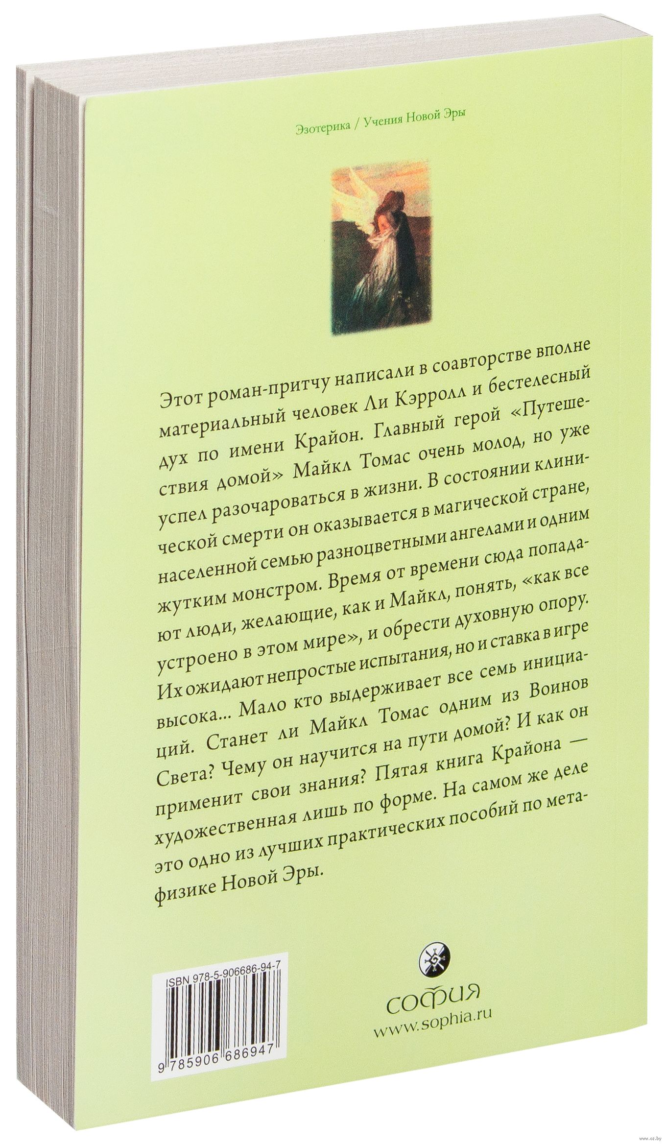 Путешествие домой. Крайон Майкл Томас и семь ангелов. Путешествие домой Майкл Томас и семь ангелов. Майкл Томас и 7 ангелов путешествие домой ли Кэрролл. Крайон Возвращение домой Майкл Томас и 7 ангелов книга.