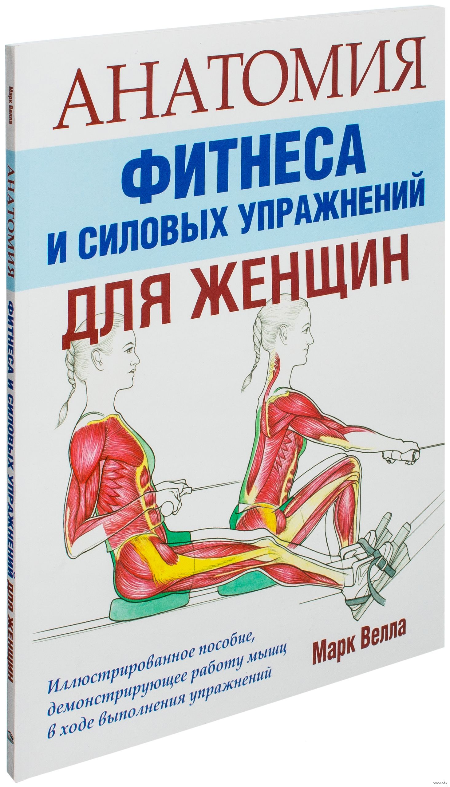 АНАТОМИЯ ФИТНЕСА И СИЛОВЫХ УПРАЖНЕНИЙ ДЛЯ ЖЕНЩИН СКАЧАТЬ БЕСПЛАТНО АНАТОМИЯ ФИТНЕСА И СИЛОВЫХ УПРАЖНЕНИЙ ДЛЯ ЖЕНЩИН СКАЧАТЬ БЕСПЛАТНО
