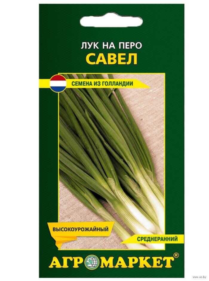 Купить Семена В Могилеве Интернет