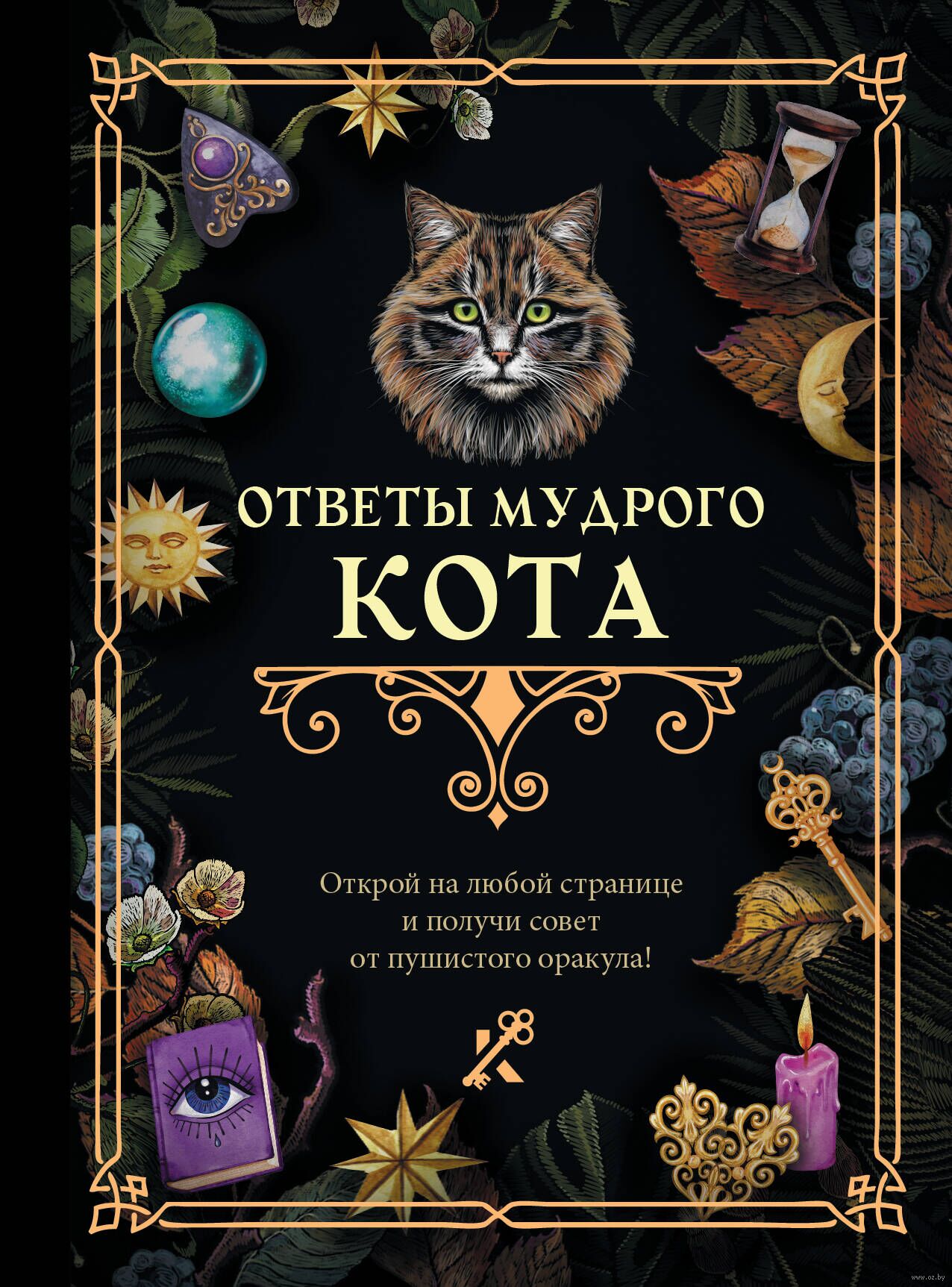 Ответы мудрого кота - купить книгу Ответы мудрого кота в Минске —  Издательство АСТ на OZ.by